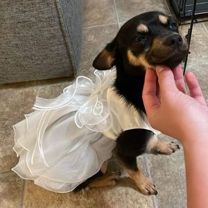 Dress for Pets Size Small